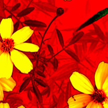 环保无污染的ddos攻击ip软件下载